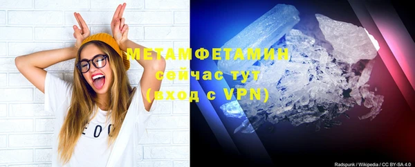 прущие грибы Наволоки
