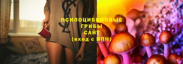 соль курить ск Надым