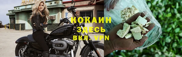 прущие грибы Наволоки