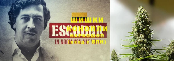прущие грибы Наволоки