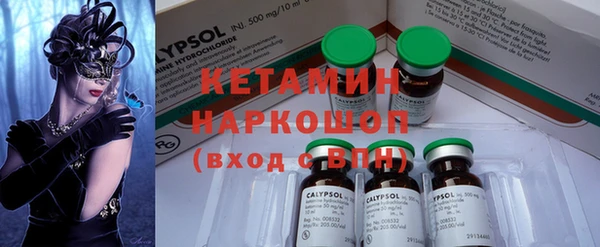 прущие грибы Наволоки